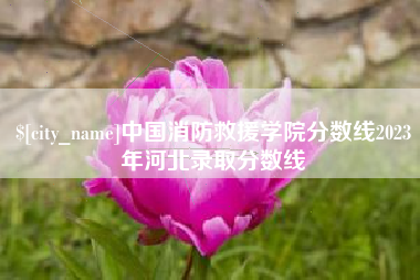 固安中国消防救援学院分数线2023年河北录取分数线