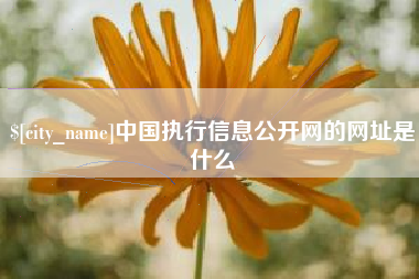 固安中国执行信息公开网的网址是什么