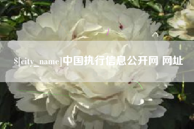 固安中国执行信息公开网 网址