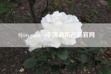固安中国消防产品官网