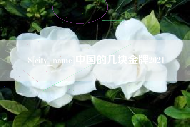 固安中国的几块金牌2021