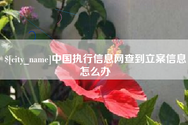 固安中国执行信息网查到立案信息怎么办