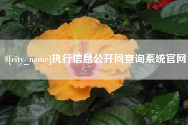固安执行信息公开网查询系统官网