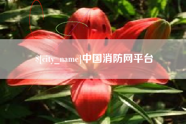 固安中国消防网平台