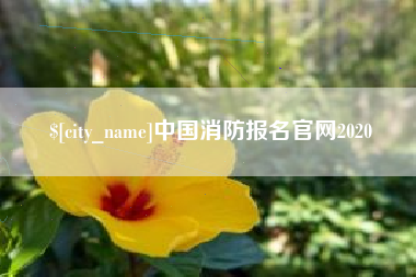 固安中国消防报名官网2020