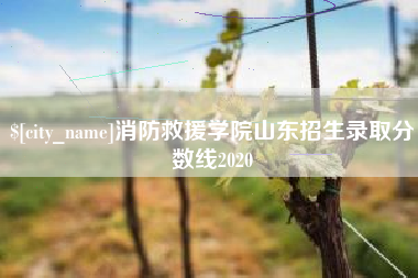 固安消防救援学院山东招生录取分数线2020