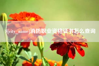 固安消防职业资格证书怎么查询