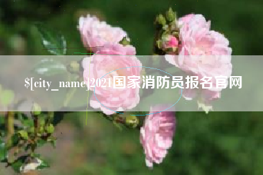 固安2021国家消防员报名官网