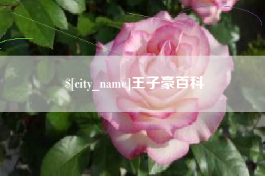 固安王子豪百科