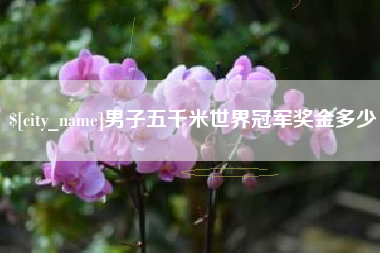 固安男子五千米世界冠军奖金多少