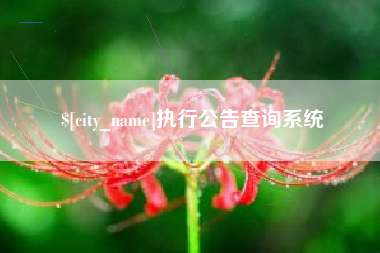 固安执行公告查询系统