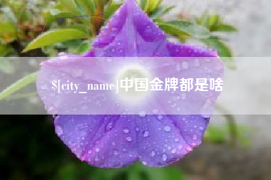 固安中国金牌都是啥