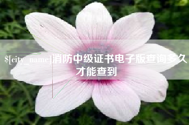 固安消防中级证书电子版查询多久才能查到
