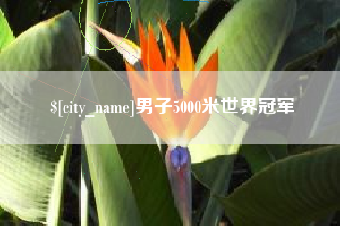 固安男子5000米世界冠军