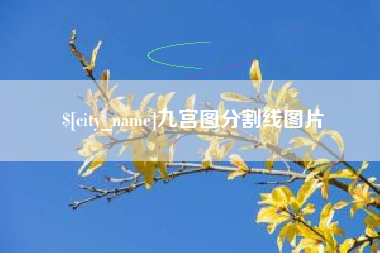 固安九宫图分割线图片