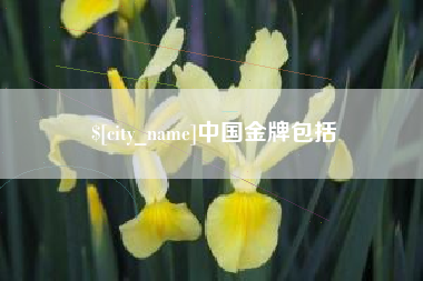 固安中国金牌包括