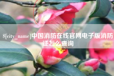 固安中国消防在线官网电子版消防证怎么查询