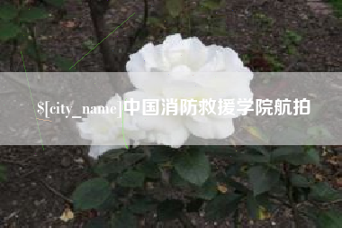固安中国消防救援学院航拍