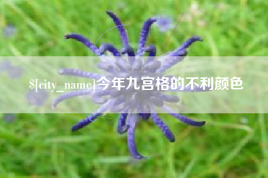 固安今年九宫格的不利颜色