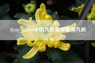 固安中国九枚金牌是哪九枚