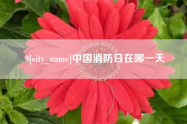 固安中国消防日在哪一天
