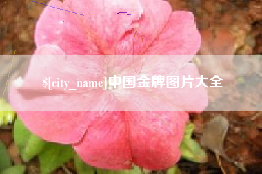 固安中国金牌图片大全