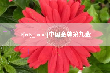 固安中国金牌第九金