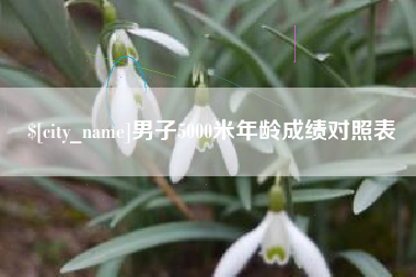 固安男子5000米年龄成绩对照表