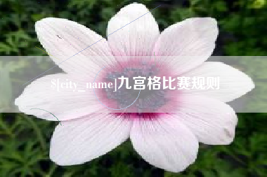 固安九宫格比赛规则