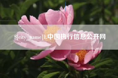 固安1.中国执行信息公开网