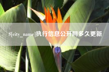 固安执行信息公开网多久更新