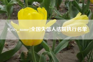 固安全国失信人法院执行名单