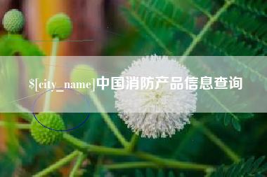固安中国消防产品信息查询