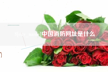 固安中国消防网址是什么