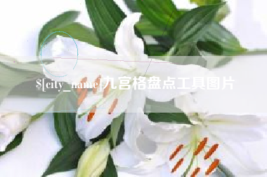 固安九宫格盘点工具图片