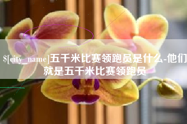 固安五千米比赛领跑员是什么-他们就是五千米比赛领跑员