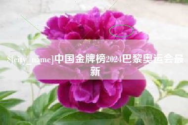 固安中国金牌榜2024巴黎奥运会最新