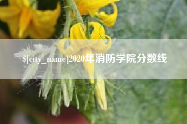 固安2020年消防学院分数线