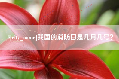 固安我国的消防日是几月几号？