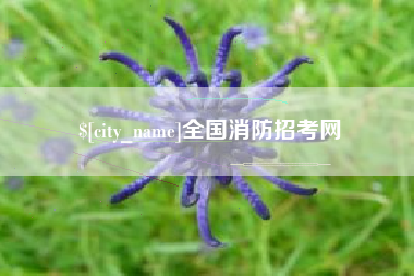 固安全国消防招考网