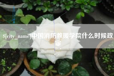 固安中国消防救援学院什么时候政审