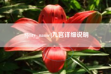 固安九宫详细说明