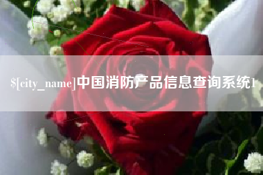 固安中国消防产品信息查询系统1