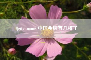 固安中国金牌有几枚了