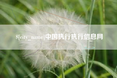 固安中国执行执行信息网