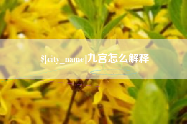 固安九宫怎么解释