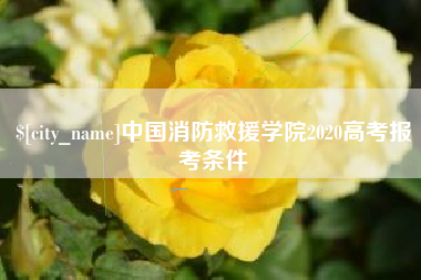 固安中国消防救援学院2020高考报考条件