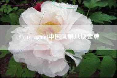 固安中国队第八块金牌