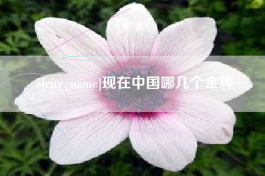 固安现在中国哪几个金牌