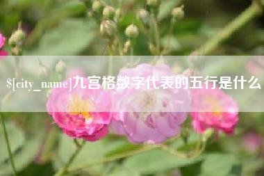 固安九宫格数字代表的五行是什么